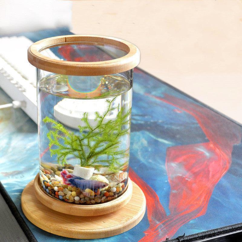 Bamboo Base Mini Glass Aquarium: A Stylish And Compact Fish Tank Decoration.