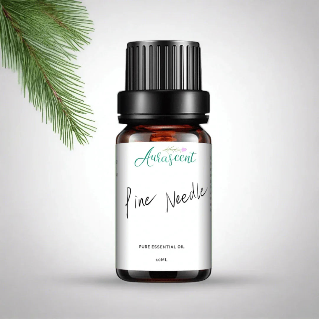 Pine Needles Essential Oil - 10ml.