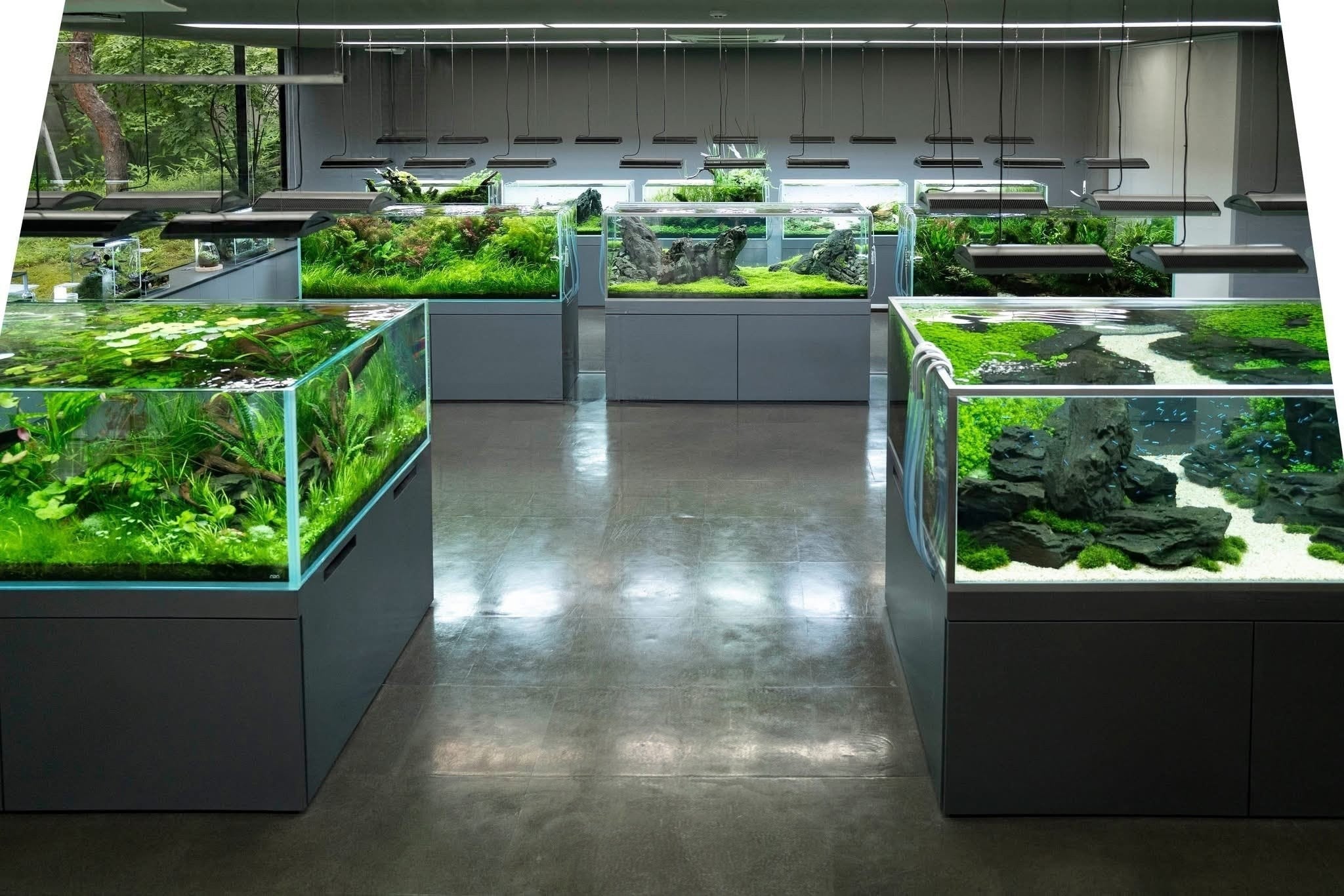 About Us: The Nature Gallery
