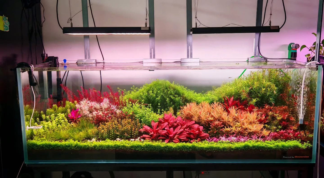 About Us & The Gallery.