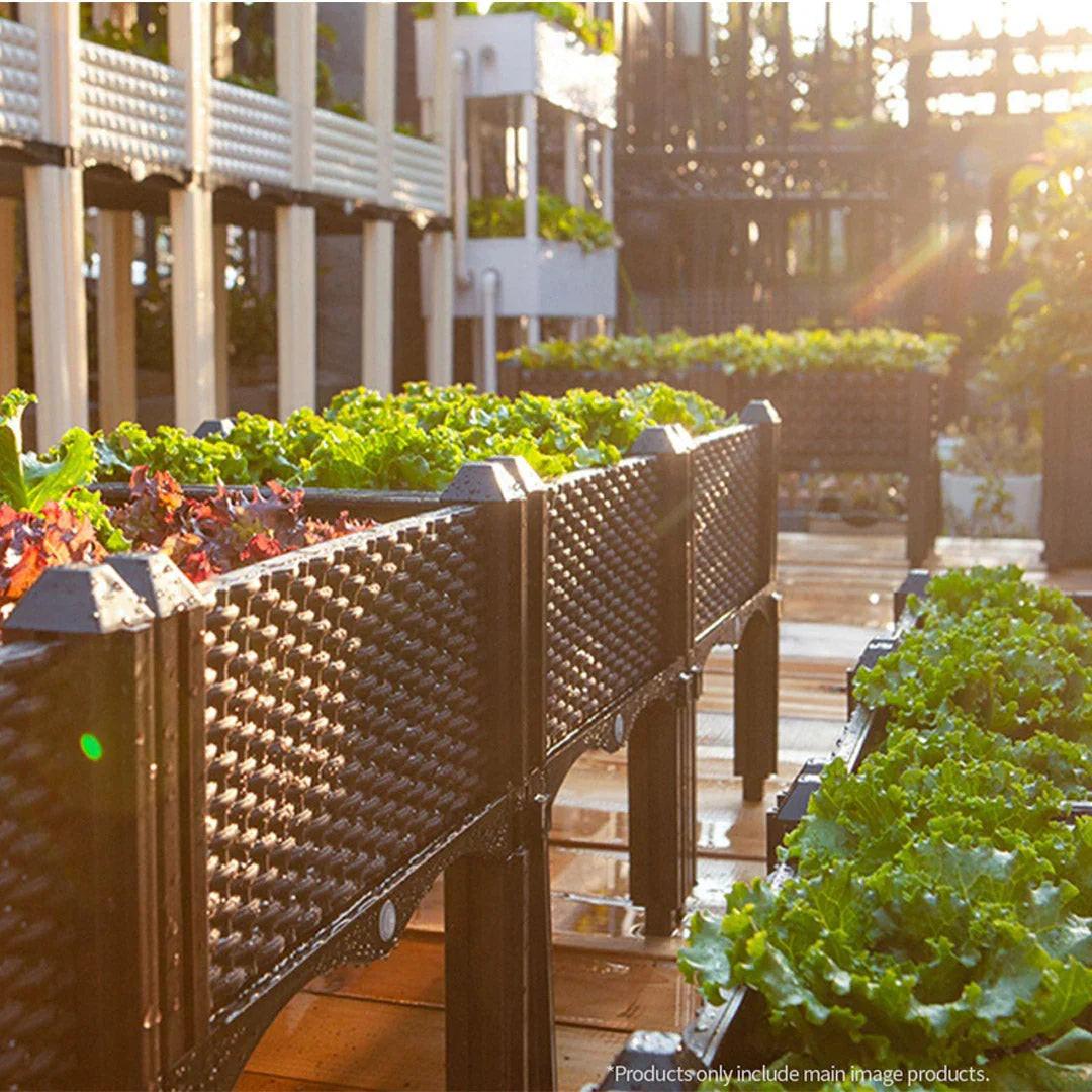 NNEAGS 160cm Raised Planter Box Vegetable Herb Flower Outdoor Plastic Plants Garden Bed with Legs Deepen.