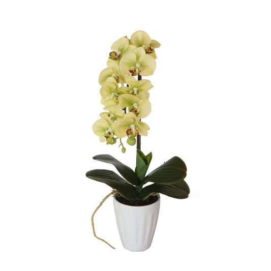40cm Butterfly Artificial Potted Orchid Cream.