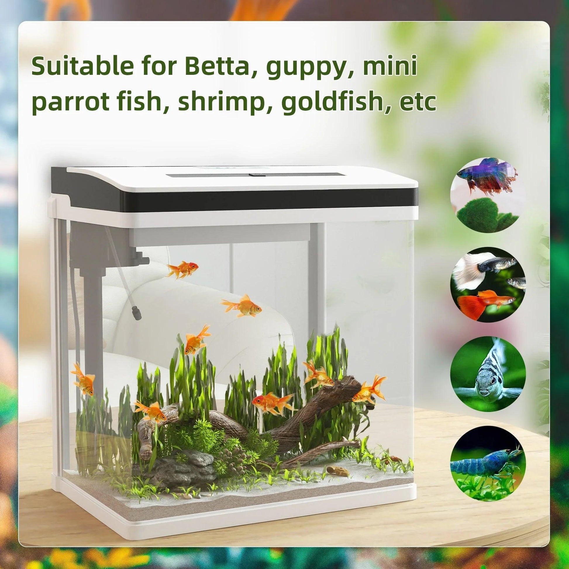 28L Glass Aquarium Fish Tank with Filter, LED Lighting, for Betta, Guppy, Mini Parrot Fish, Shrimp, 38 x 26 x 39.5cm.