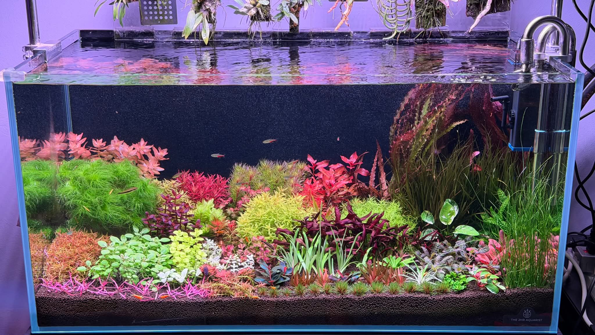 The Nature Gallery Discovery Aquascape Box.