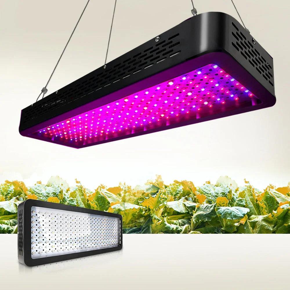NNEDSZ 2000W LED Grow Light Full Spectrum.