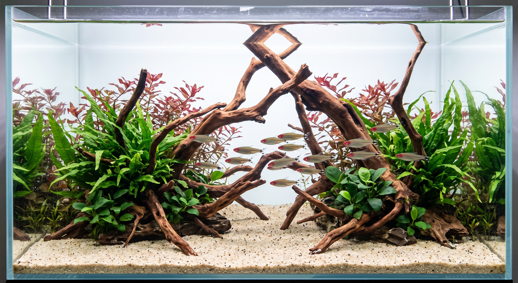 The Stem Plant Blueprint Tell-All (FREE)