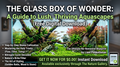 Glass Box of Wonders eBook (FREE)