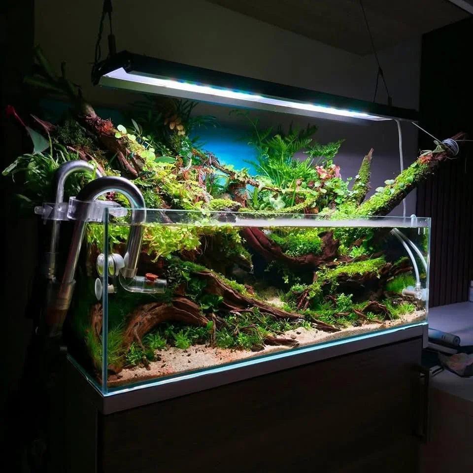 DEDICATED DIAMOND 💎 - 1:1 Mentorship, (Learn 15 years worth of knowledge, in months not years!).