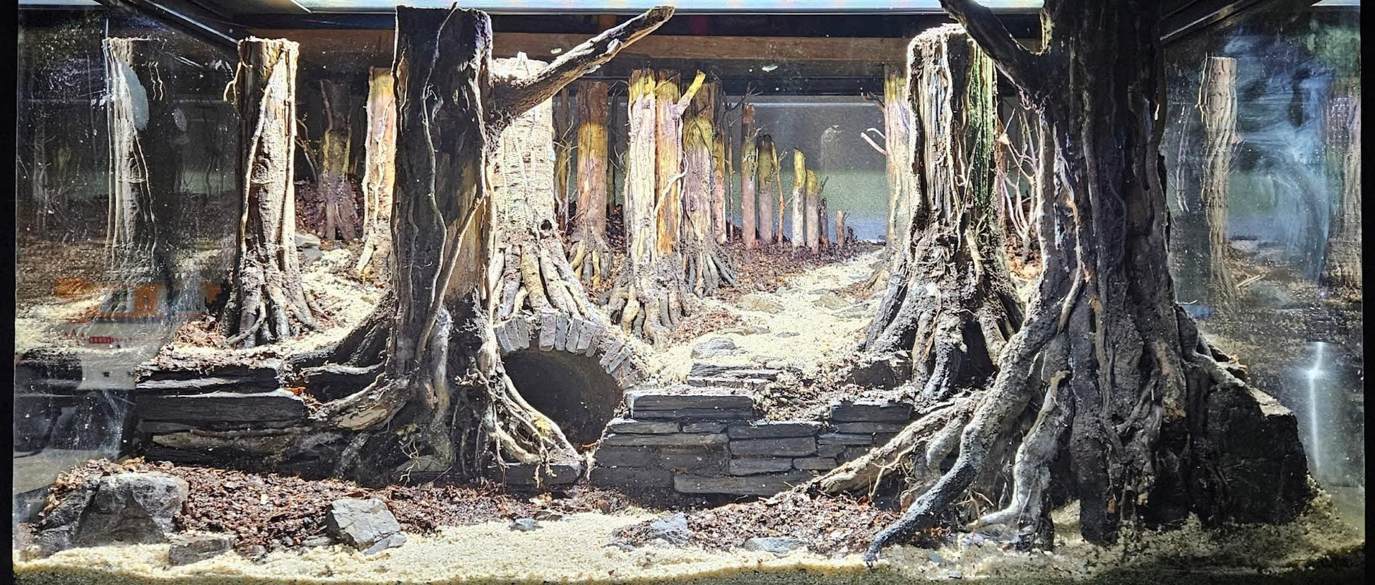 DEDICATED DIAMOND 💎 - 1:1 Mentorship, (Learn 15 years worth of knowledge, in months not years!).