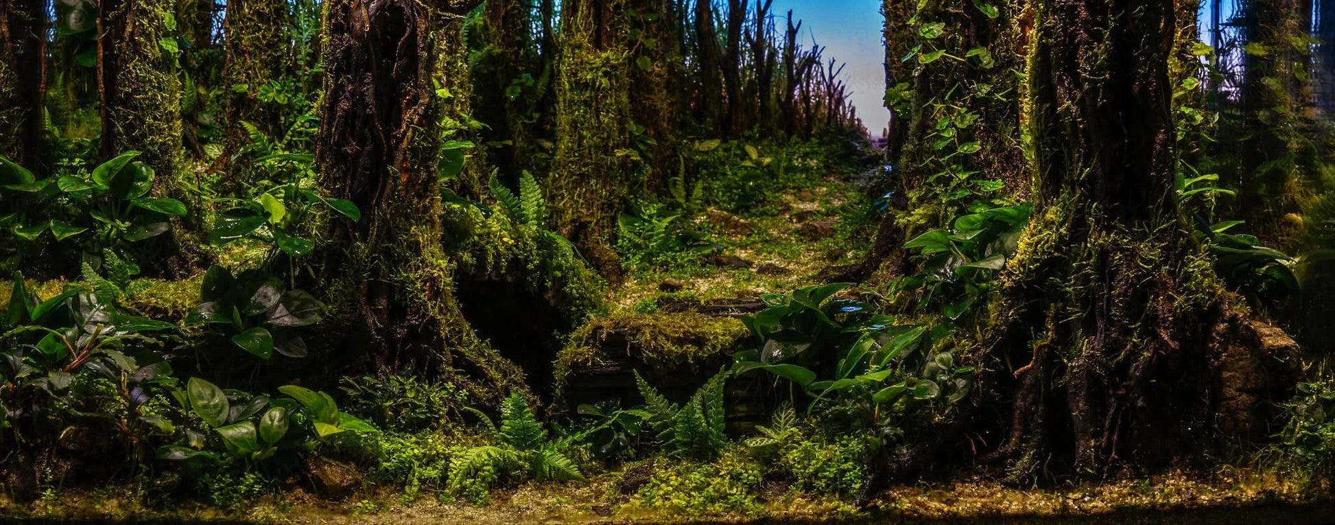 DEDICATED DIAMOND 💎 - 1:1 Mentorship, (Learn 15 years worth of knowledge, in months not years!).