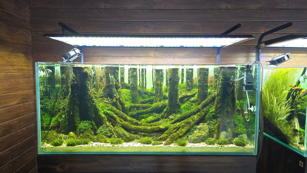 The Filterless Revolution: How Nature Replaced Filters for Good