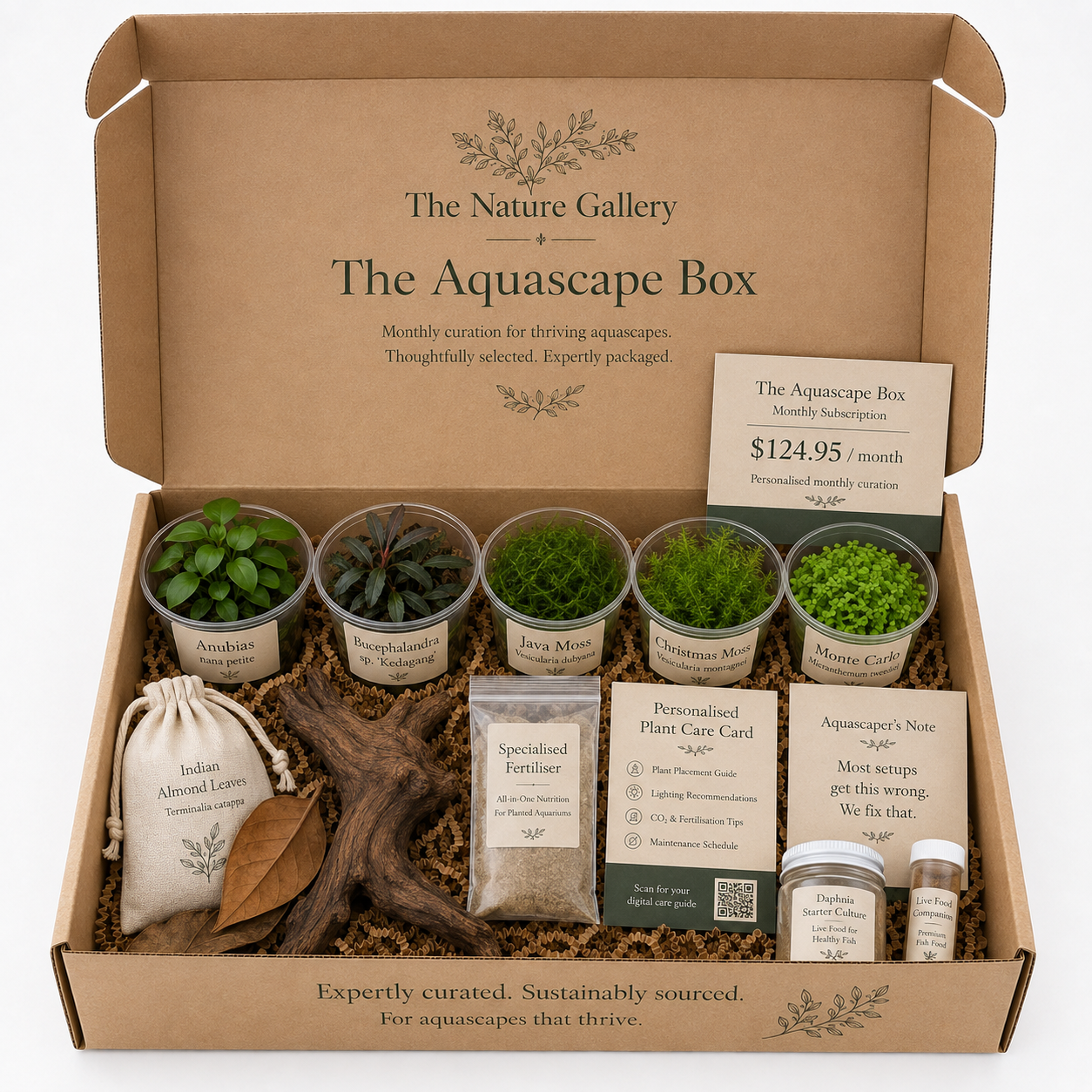 The Nature Gallery Mecca Aquascape Box.