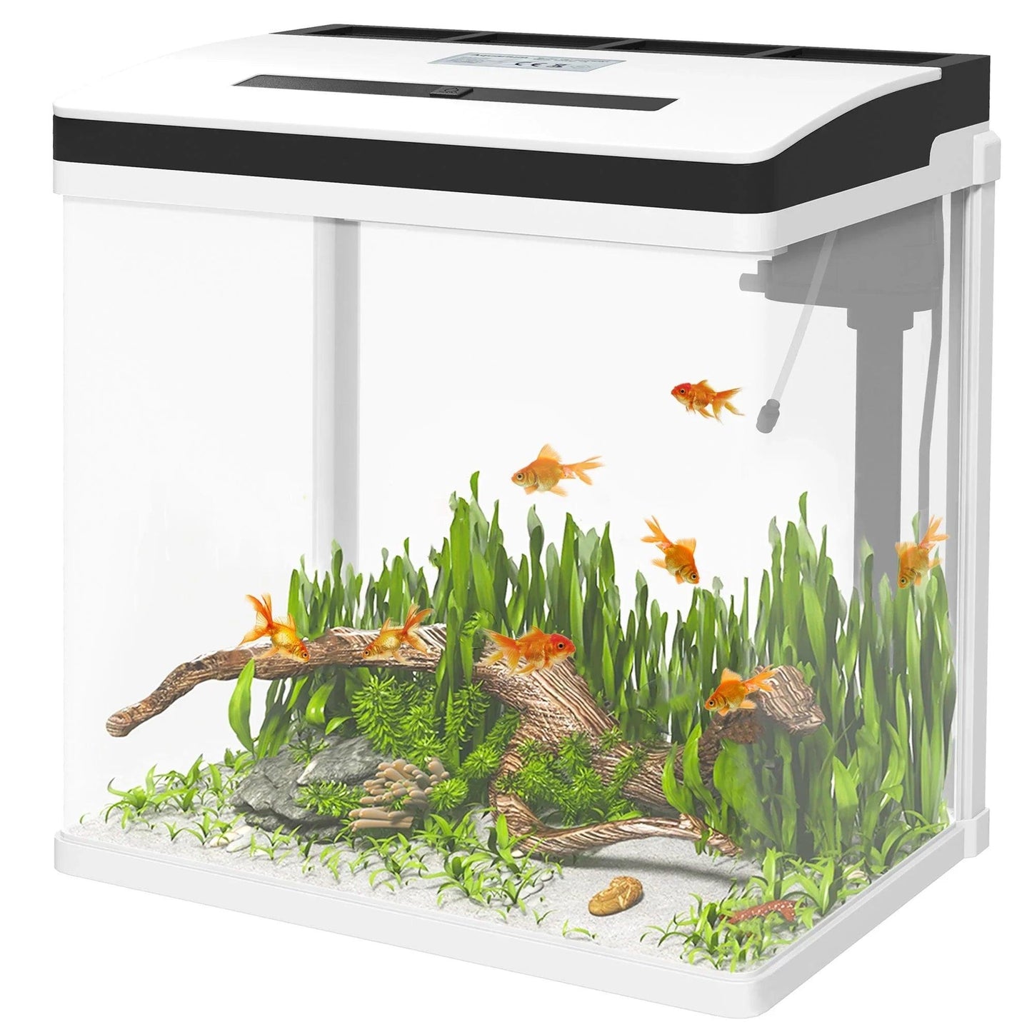 28L Glass Aquarium Fish Tank with Filter, LED Lighting, for Betta, Guppy, Mini Parrot Fish, Shrimp, 38 x 26 x 39.5cm.