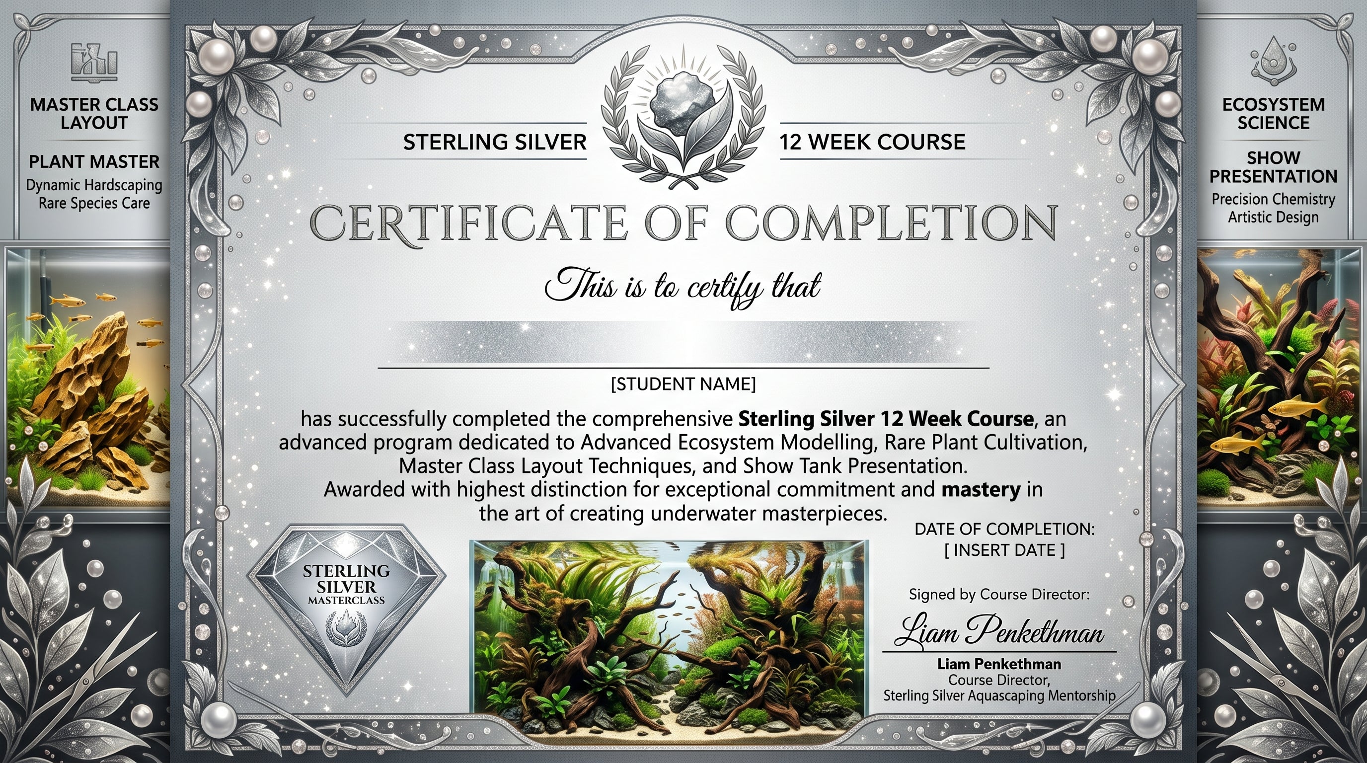 STERLING SILVER 🥈 Mentorship | 12 Week Course