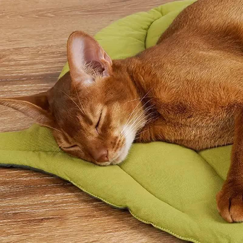 NNEDSZ 1 Pcs Green Leaf-Shaped Pet Sleeping Mat - Durable Dog Floor Pad & Cat Bed for Sleeping and Playtime.