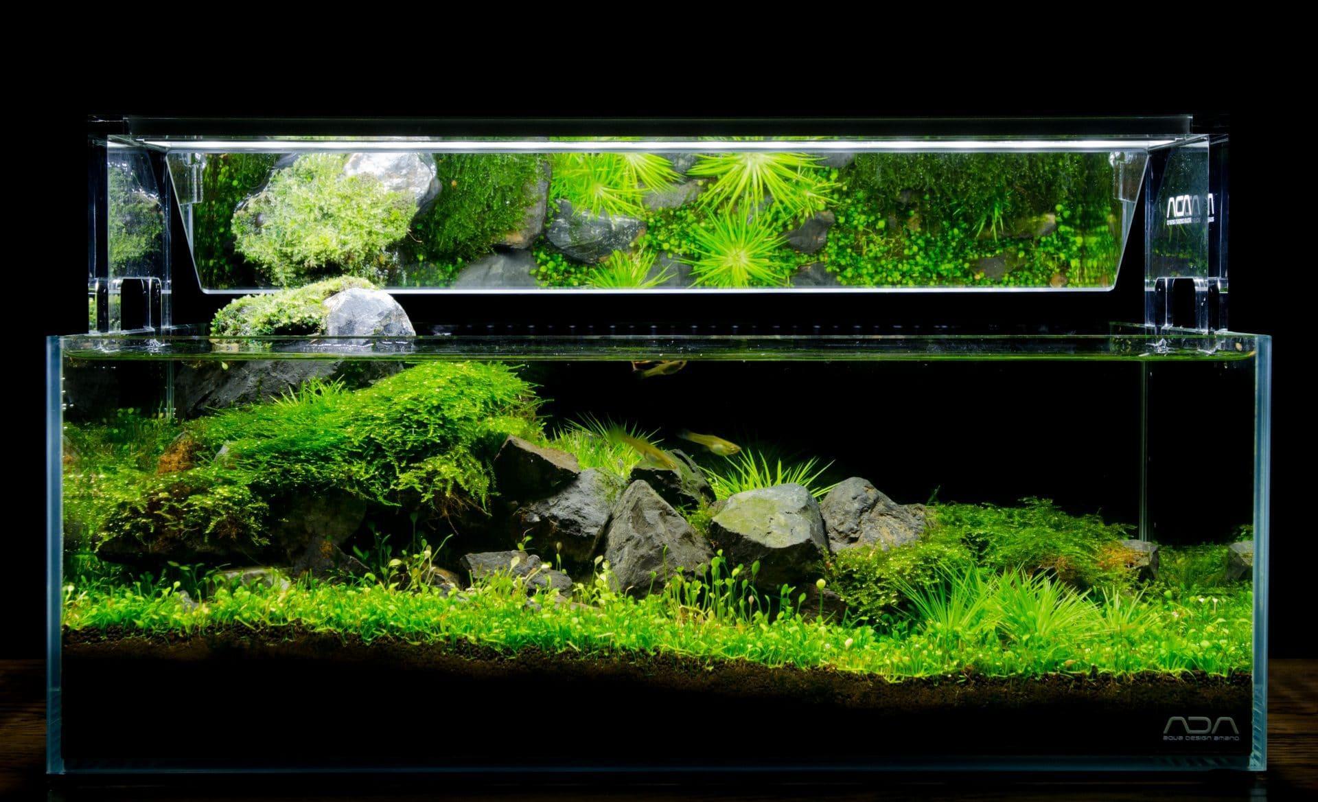 Best Base Booster: Pumice 5L (7-20mm).