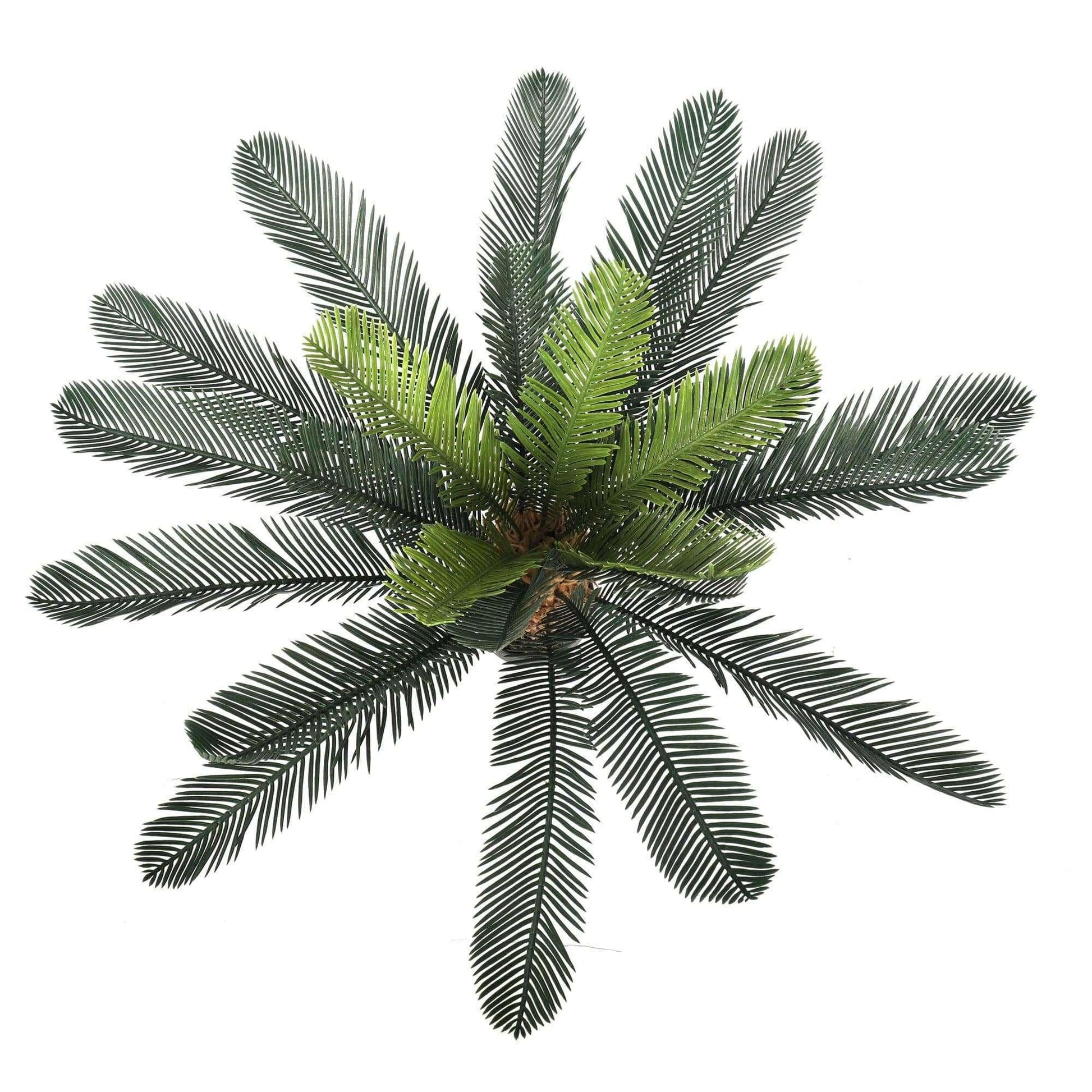 Artificial Cyac (Cycad) Plant 60cm.