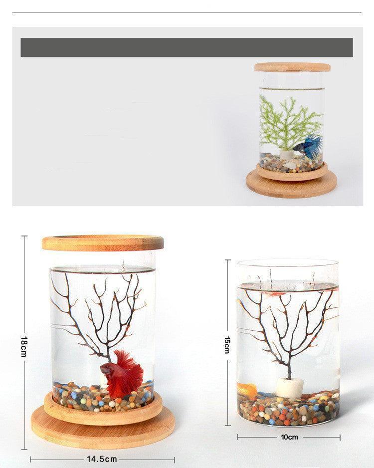 Bamboo Base Mini Glass Aquarium: A Stylish And Compact Fish Tank Decoration.