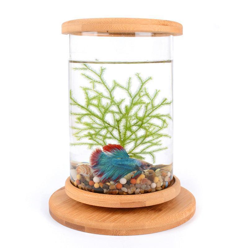 Bamboo Base Mini Glass Aquarium: A Stylish And Compact Fish Tank Decoration.
