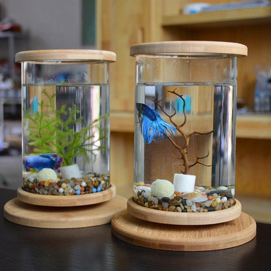 Bamboo Base Mini Glass Aquarium: A Stylish And Compact Fish Tank Decoration.