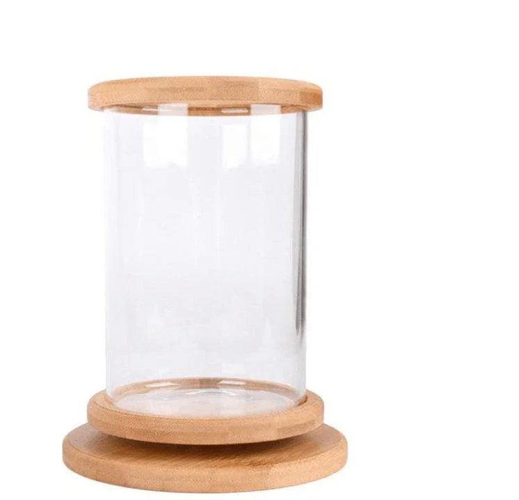 Bamboo Base Mini Glass Aquarium: A Stylish And Compact Fish Tank Decoration.