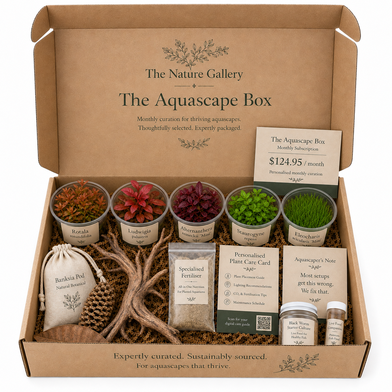 The Nature Gallery Mecca Aquascape Box.