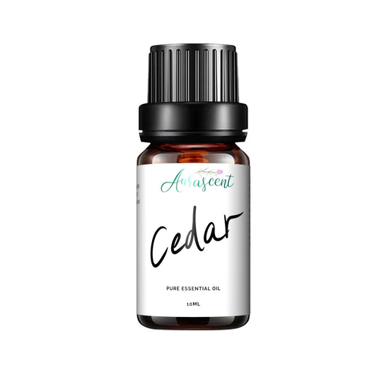 Cedar Essential Oil - 10ml.