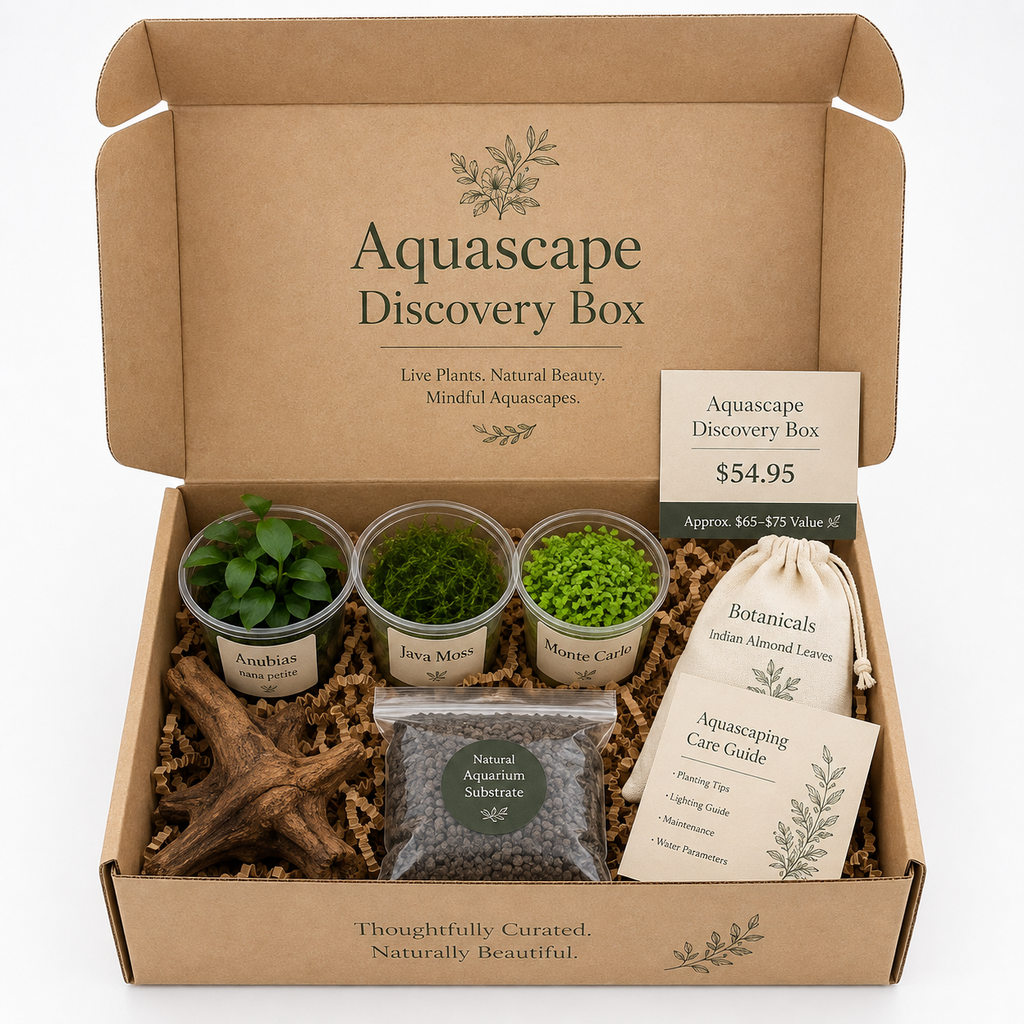 The Nature Gallery Discovery Aquascape Box.