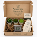 The Nature Gallery Discovery Aquascape Box.