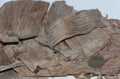 Dried Banana Leaves.