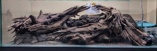 Expert Aquascaping, Terrarium and Paludarium Consulation.