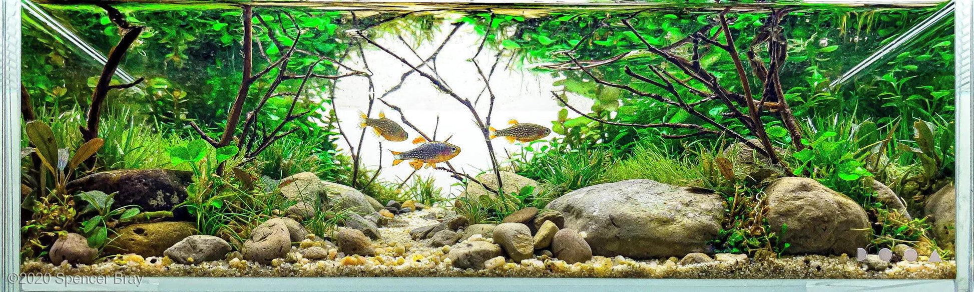 AAA Grade, All Natural River Sand (Sustainably managed/sourced) 10kg bag.