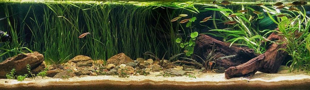 AAA Grade, All Natural River Sand (Sustainably managed/sourced) 10kg bag.