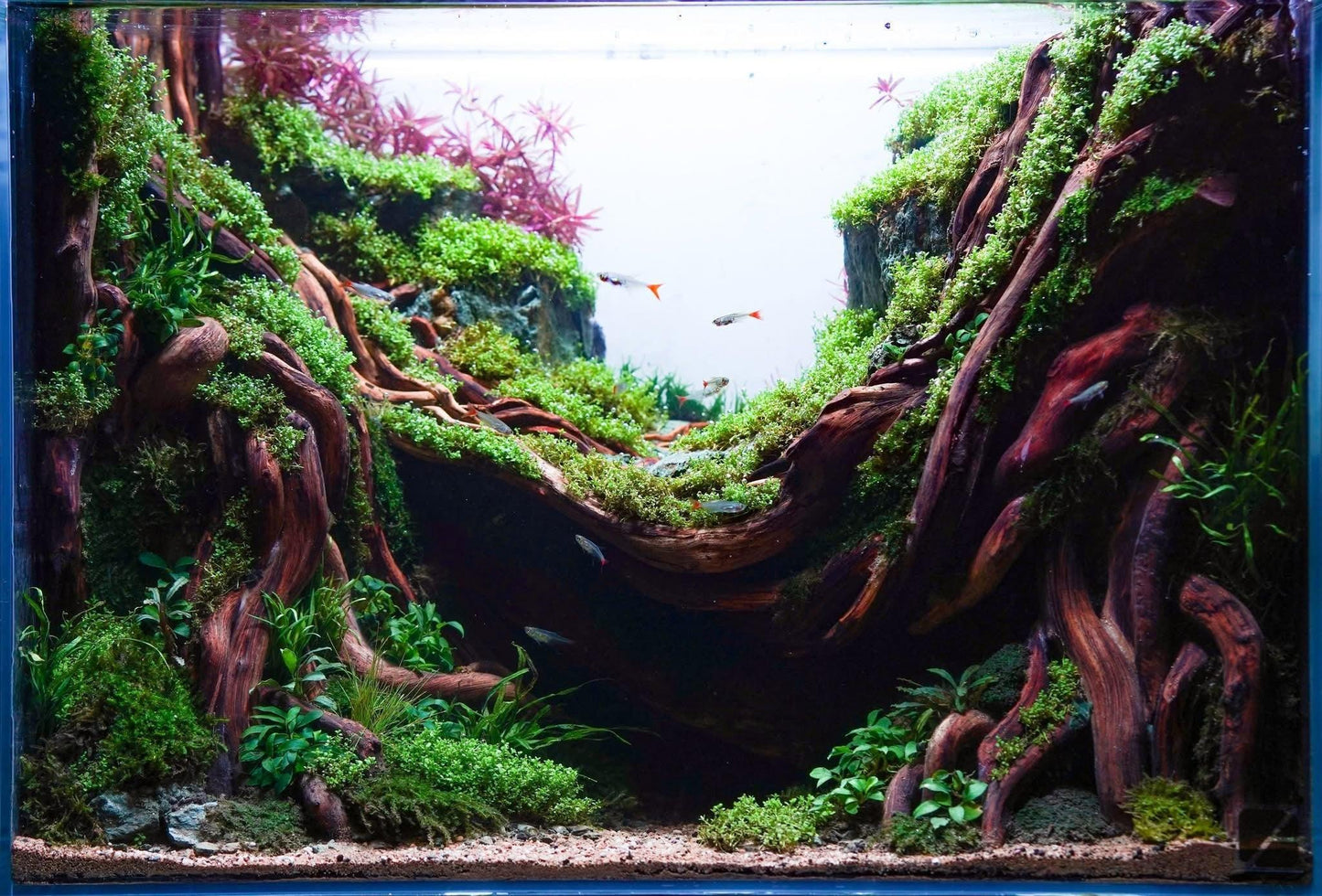 GREATER GOLD  - Foundation, Mentorship +1 Month subscription+.