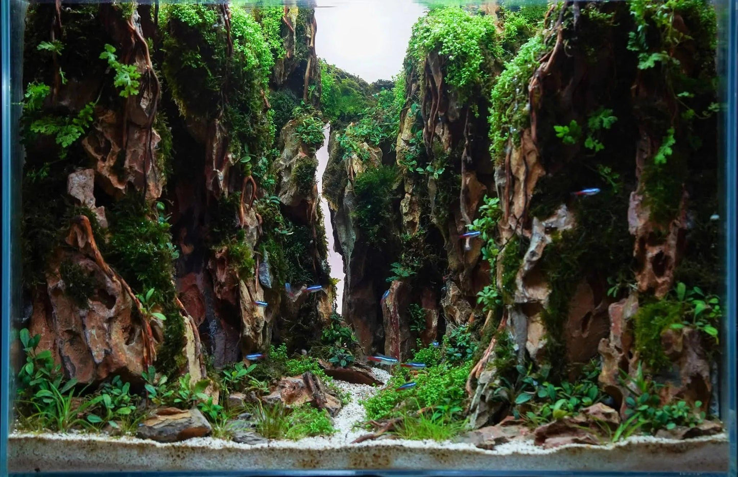 GREATER GOLD  - Foundation, Mentorship +1 Month subscription+.