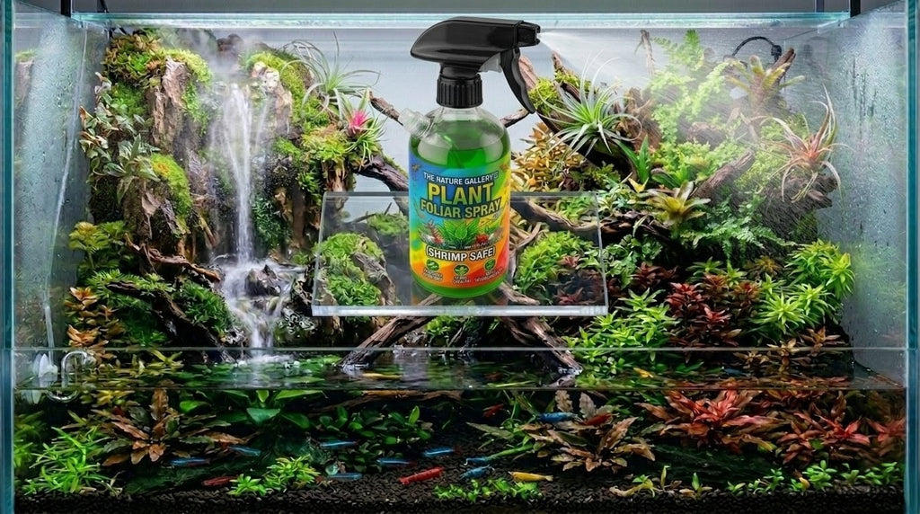 Shrimp Safe Plant Foliar Spray for Terrariums & Indoor Plants