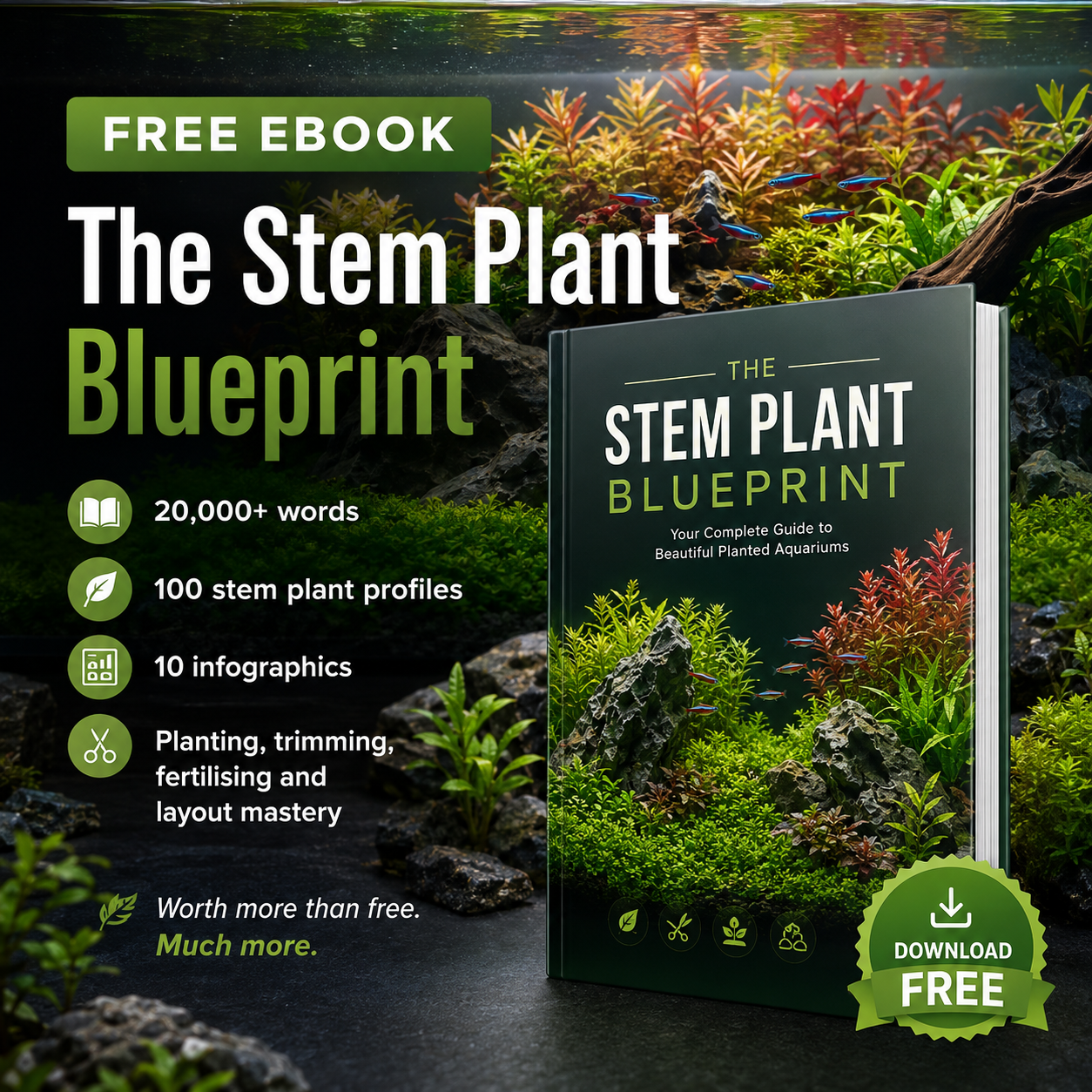 The Stem Plant Blueprint Tell-All (FREE)